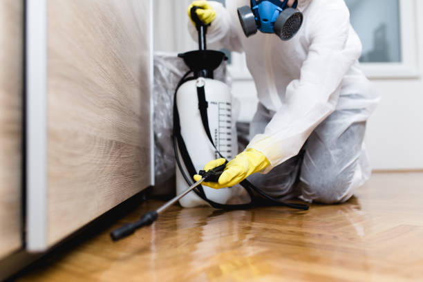 Best Exterminator Services  in Clinton, MI