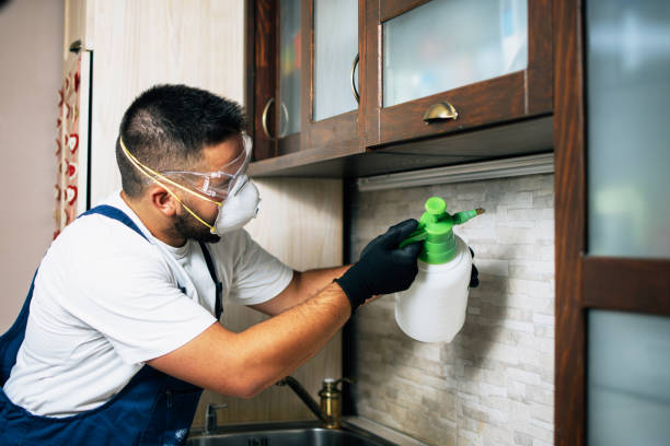 Best Rat Extermination Near Me  in Clinton, MI