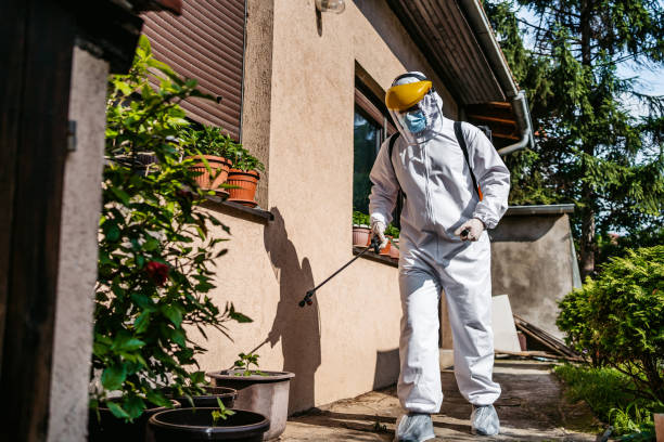 Best Commercial Pest Control Services  in Clinton, MI