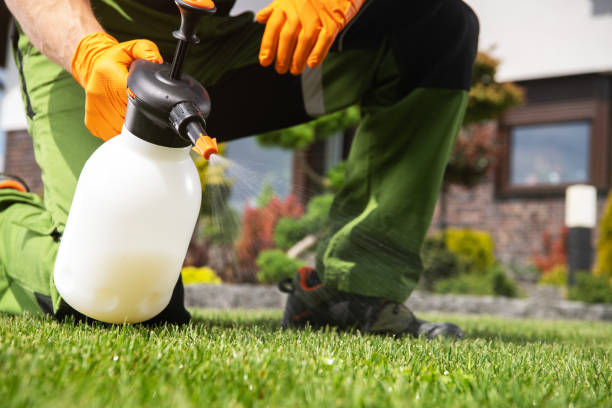 Best Cockroach Control Services  in Clinton, MI
