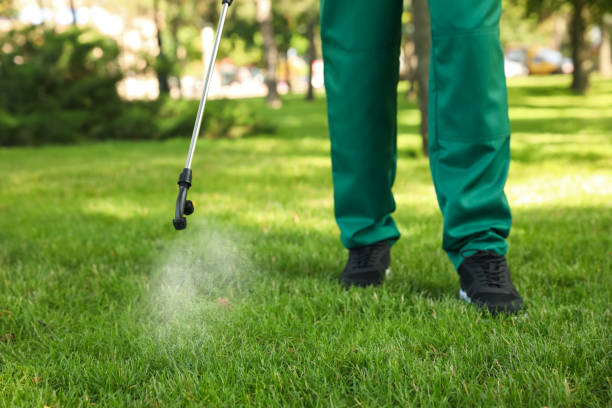 Best Pest Control for Businesses  in Clinton, MI