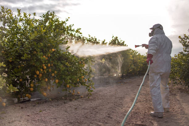 Best Mosquito Control Services  in Clinton, MI
