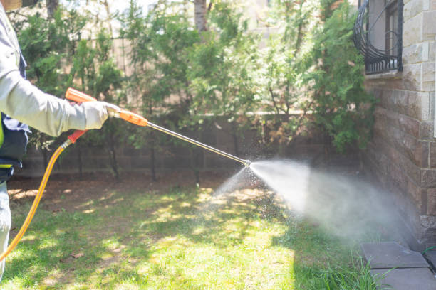 Best Local Pest Control Services  in Clinton, MI