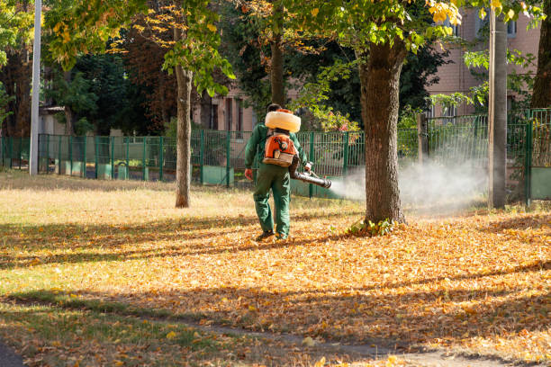 Best Rat Extermination Near Me  in Clinton, MI