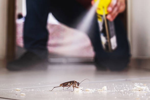Best Pest Removal Services  in Clinton, MI