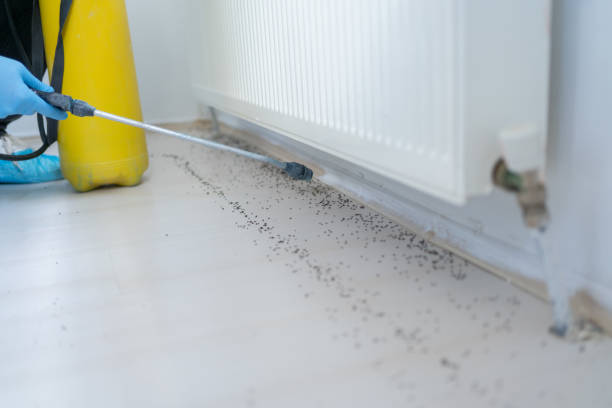 Best Commercial Pest Control Services  in Clinton, MI