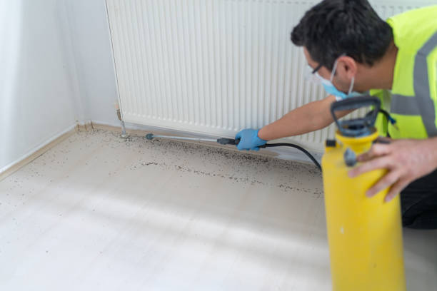 Best Affordable Pest Control Services  in Clinton, MI