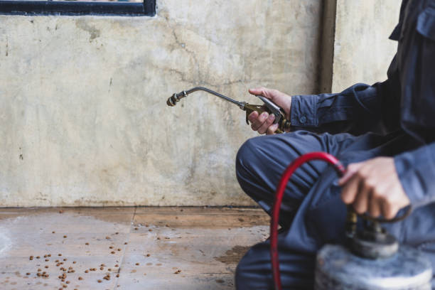 Professional Pest Control in Clinton, MI